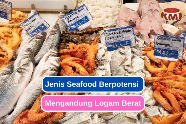 Waspada! 8 Seafood Ini Berpotensi Mengandung Logam Berat